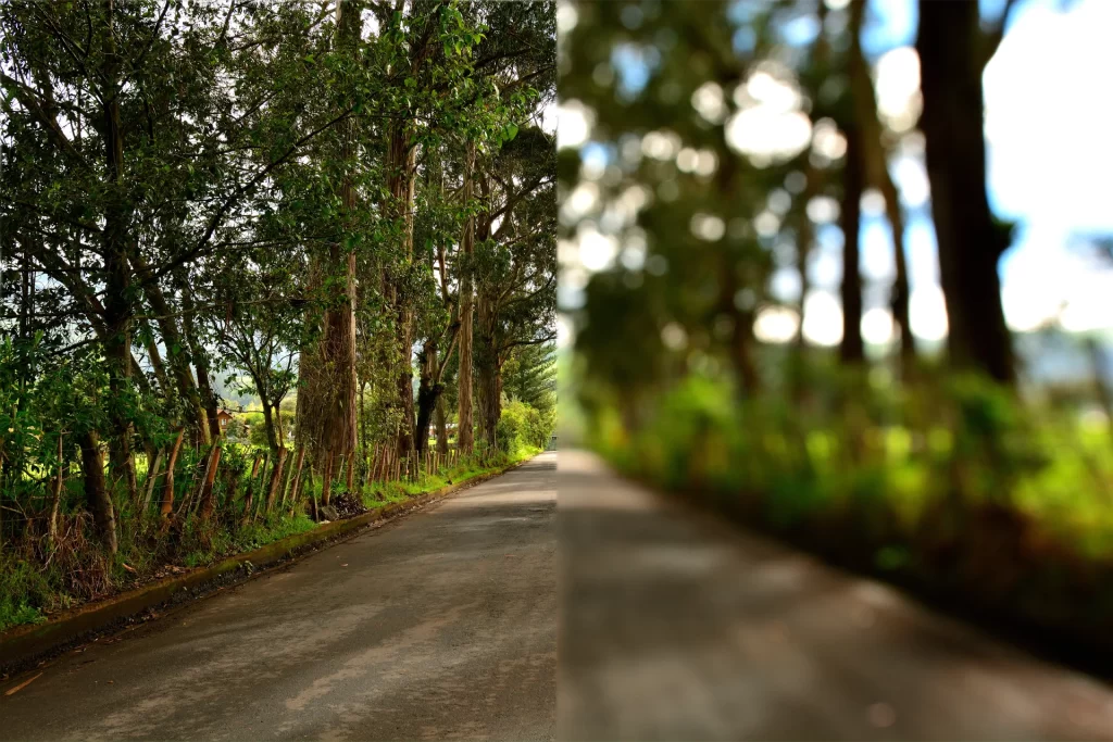 focused unfocused view image 01
